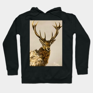 Scottish Highland Stag Hoodie